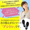 BMZ Functional Insole Ashi-Tore (S (23.0-24.5))
