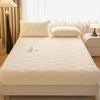 2025Winter Taffeta Fleece Bed Sheet Simple Single Piece Warm Coral Fleece Thickened Flannel Protector Non-Slip Bed Cover