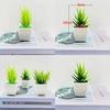Simulierte Miniatur-Kaktussammlung mit Kunststoffmaterial für Schreibtischdeko und Geschenke