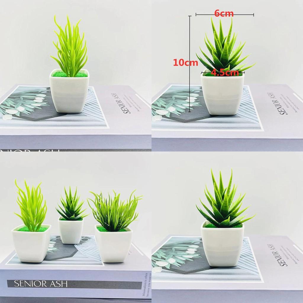 Simulierte Miniatur-Kaktussammlung mit Kunststoffmaterial für Schreibtischdeko und Geschenke