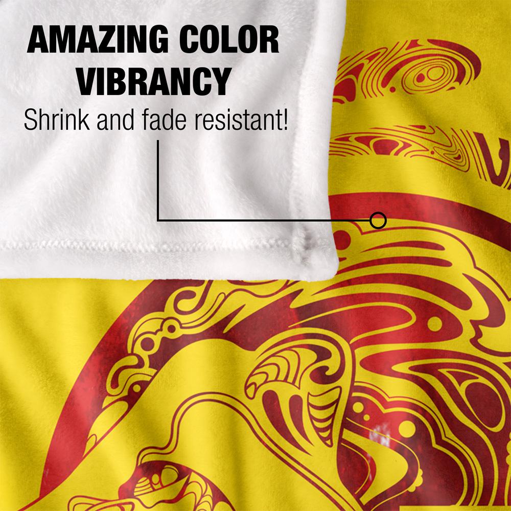 HARRY POTTER Gryffindor Abstract Blanket