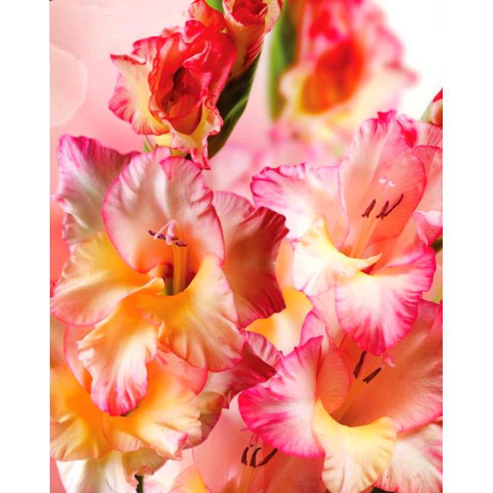 

5D комплект алмазной живописи Пейзаж животных Алмазная вышивка крестиком религиозные фигурки картины стразами мозаичная декорация Full Square 20X30CM светло-синий