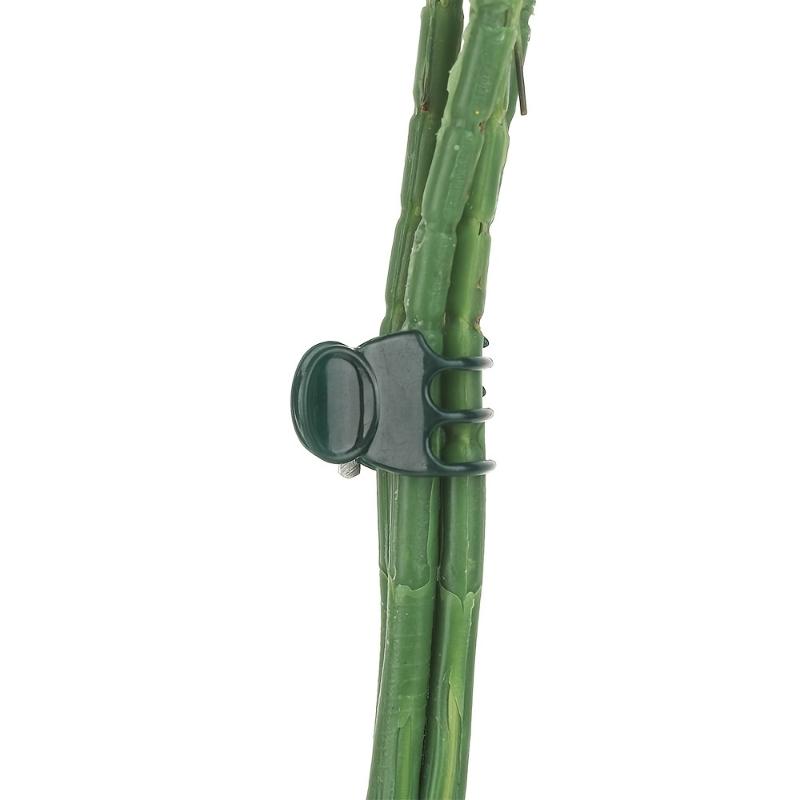 50pcs Plastic Garden Plant Clip For Phalaenopsis Graft Orchid Stem Dark Green Vine Support Clips Gardening Accessories