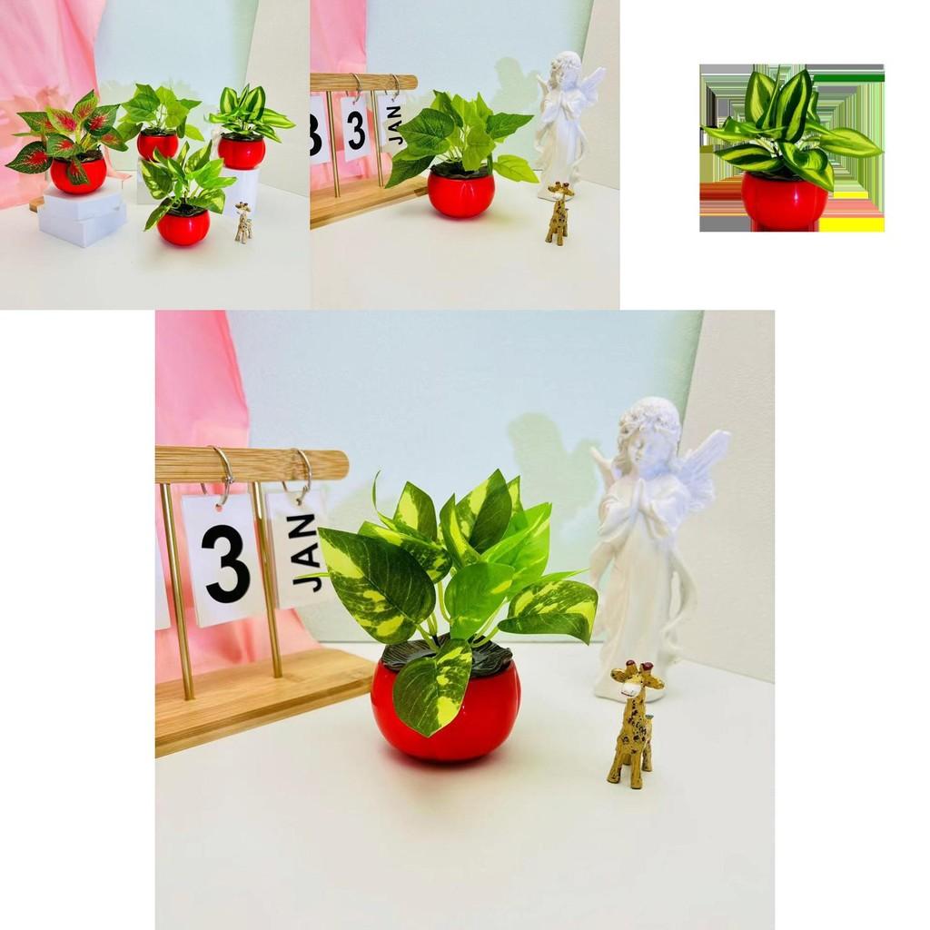Epipremnum Aureum Plastic Indoor Plant Pot With Realistic Greenery For Living Room