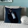 Hot Singer D-DPR Ian Saint Pillow Case Sofa Living Room Bedroom Headboard Backrest Cushion Square Cushion Nap Time