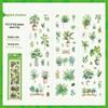 Natural Time Series Journal Stickers: Fresh Theme, 4 Styles, 6 Sheets/Pack