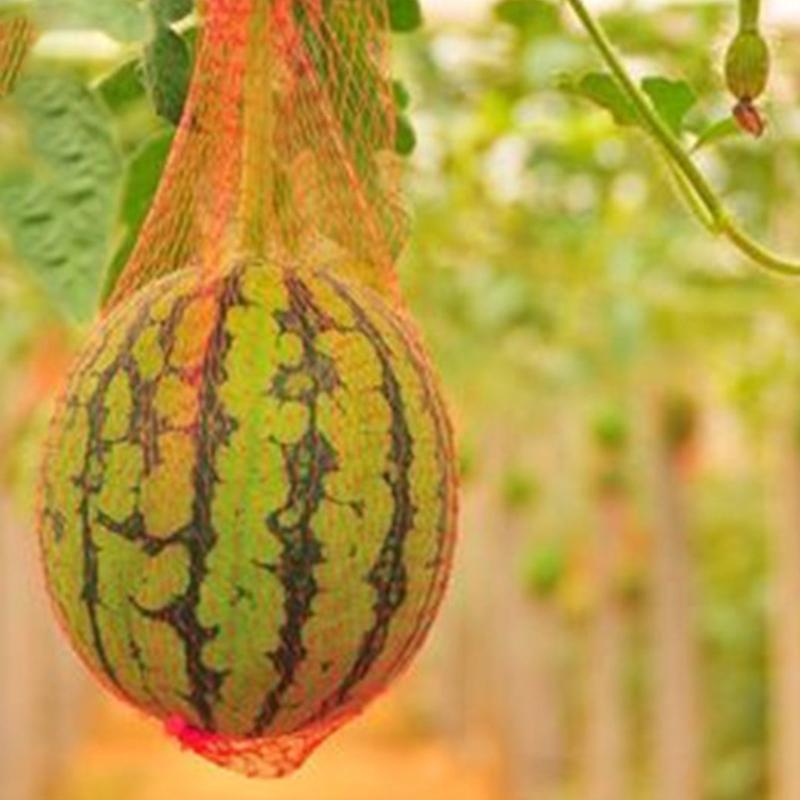 100pcs Watermelon Hammock Durable Heavy Duty Hanging Mesh Bag for Garden Fruits Vegetables Melon Net with Drawstring
