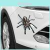 Pegatinas Versátiles de Dibujos Animados de Coches Con Diseños Atemporales de Araña y Lagarto Para Personalización