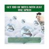 Natural spray for bed bugs and dust mites on mattresses and carpets