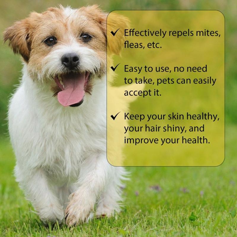 Effective Fleas Drop Cleaner Dogs 1ml Useful Mild Ingredient Relieve Discomfort Parasites Removers for Animals Care