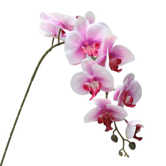 Fancy Artificial Flower No-watering Everlasting Decorative