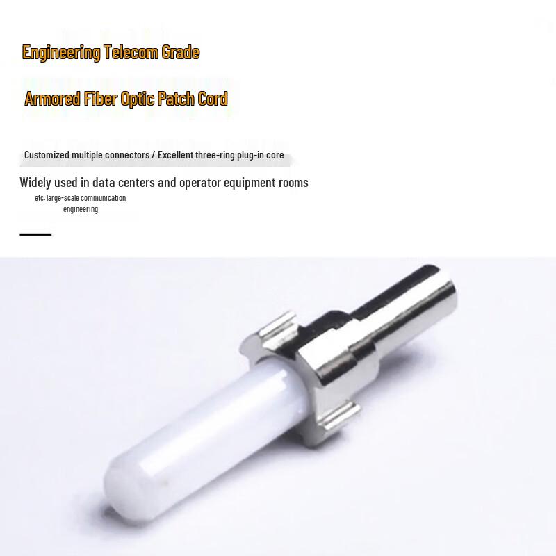 AIENKIS Armored OM2 Multimode Fiber Optic Patch Cable
