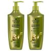 Schwarzkopf Ginger Essence Oil Control Hair Conditioner