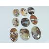 315Cts. Natural Chrysoprase Oval Shape Cabachon Loose Gemstone 09 Pcs Lot C-2570