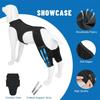 Elastic Dog Leg Brace Wrap Efficient Joint Protective Sleeve For Elderly Injured Canine Back Leg Supportive