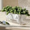 Maceta Transparente de Riego Automático para Plantas de Interior y Exterior Maceta de Plantación con Agujero de Drenaje Depósito Profundo Maceta para Hierbas y Flores con Cuerda de Mecha