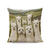 Modern Vintage Alpaca-Themed Pillowcase with Double-Sided Print and Zipper Closure