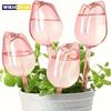 Translucent Pink Tulip-Shaped Self-Watering Globes for Indoor & Outdoor Plants