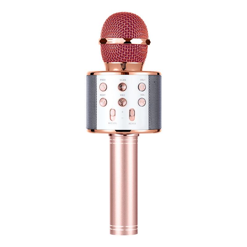 WS858 Wireless Bluetooth Karaoke Microphone: All-in-one Speaker & Singing Toy for Kids.