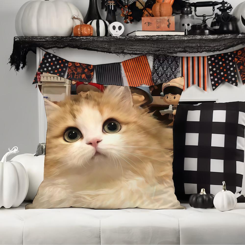 Cute Animal Cat Pillow Case Office Cushions Suitable For Sofa Car Bedroom Decorative Cushion Cover