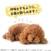 Ninian & Kino Perfect Pet (Small Size) Toy Poodle Plush Toy - Realistic, Lifelike, Animal Toy, Cute, Moving, Gift, Present, Celebration, Cute Dog Plus