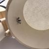 Wooden Bongo Drums 5” and 6” Wood Percussion Instrument Compact Lightweight Portable Traditional