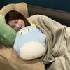 Cartoon Office Pillow Quilt 2 In 1 Car Cushion Multi-Function  Blanket Cushion Decor Nap Blanket for Afternoon Rest