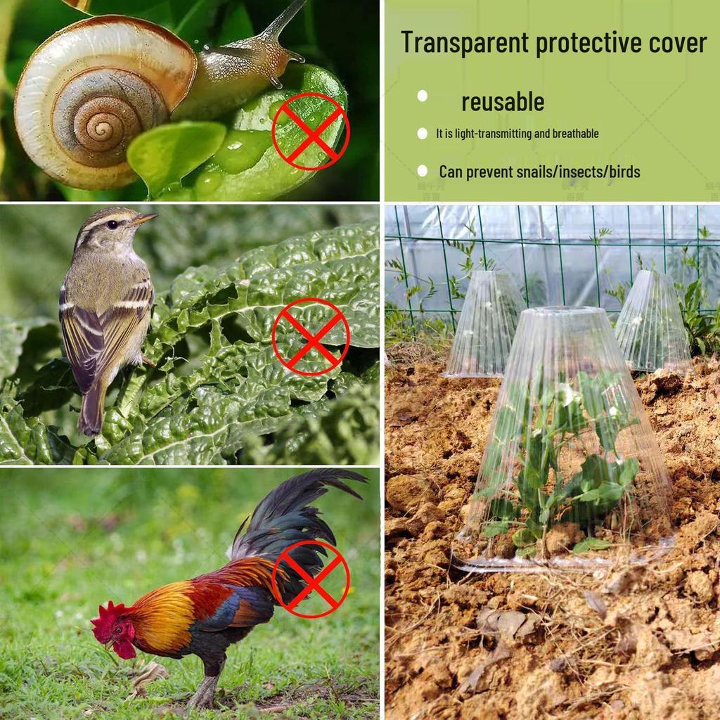 Transparent Seedling Cloche: Reusable Greenhouse Cover Protecting from Birds and Frost