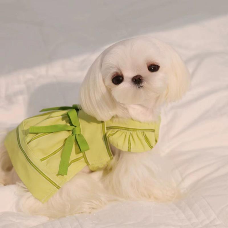 

Pet cat dog clothes princess new small dog Schnauzer teddy small dog spring and autumn single skirt XL chest 50 back 40 about 10-6.5 kg зелёный