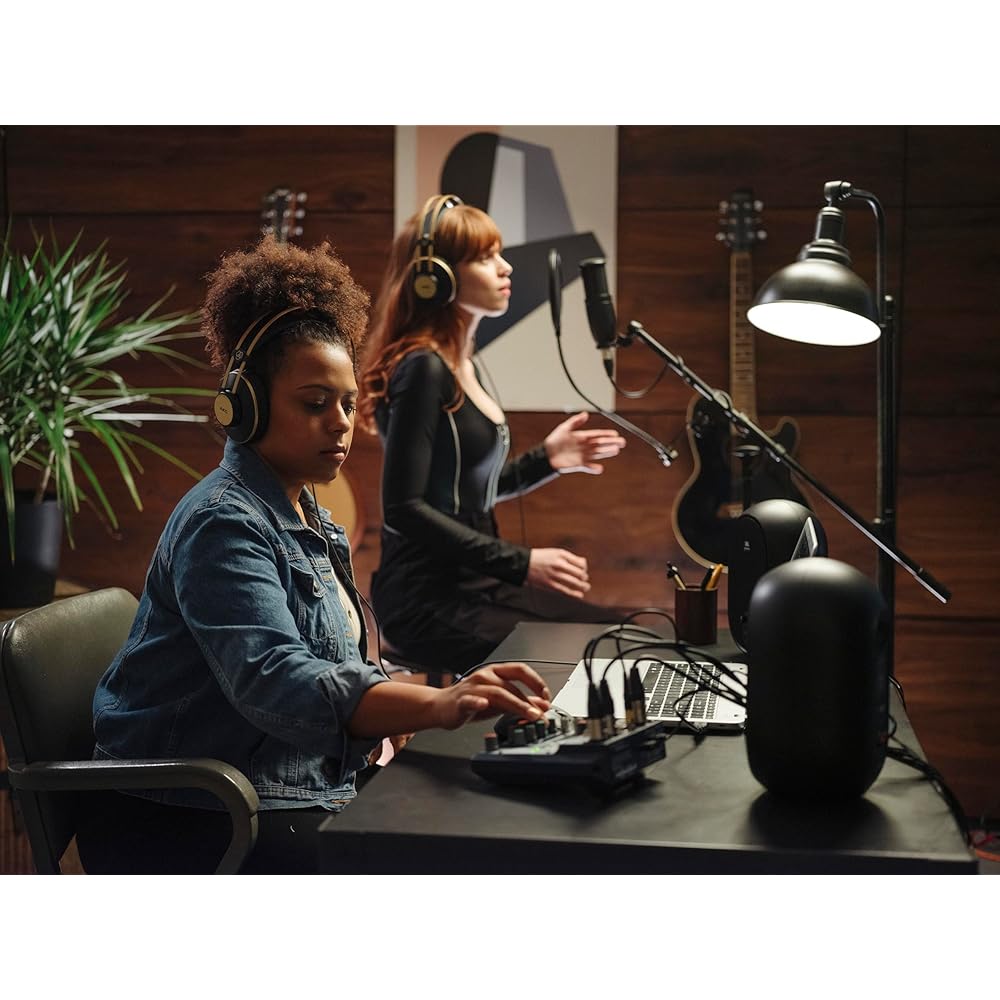 AKG (Arker Game) P120 Project Studio Line [Ideal for Vocal/instrument Recording, Durable All-meta...