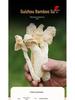 Guizhou Red-Cap Bamboo Fungus Gift Box: New Season Zhijin Bamboo Fungus Soup Ingredient