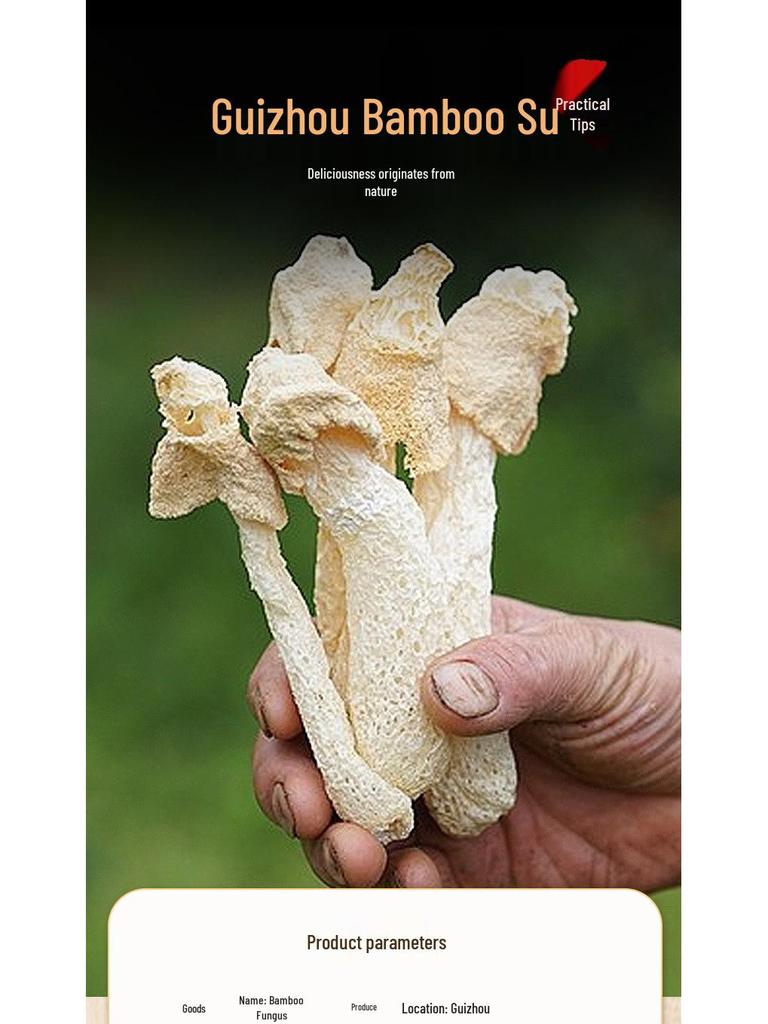 Guizhou Red-Cap Bamboo Fungus Gift Box: New Season Zhijin Bamboo Fungus Soup Ingredient