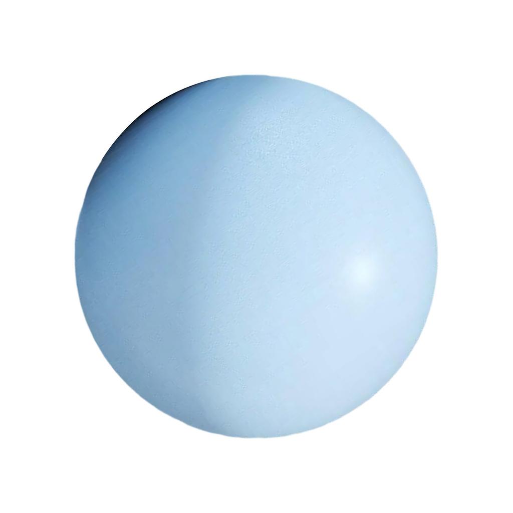 25cm 10Inch Pilates Ball Small Exercise Ball Mini Yoga Ball Gym Ball for Home Gym Pilates Yoga Balance Core Training
