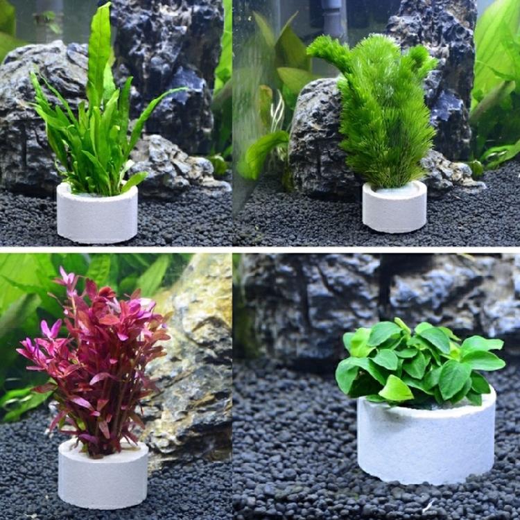 Gewichte Keramik 10 Stück Pflanzen Wasser Aquarium Pflanzen Befestigungsringe Aquarium Dekoration Zubehör Für Süßwasser Salzwasser
