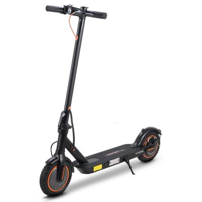 TWOFISH V1 Max Foldable Electric Scooter for Adults 36V 10.4Ah Battery 400W Motor 10 Inch Wheels Portable Commuting E-Scooter