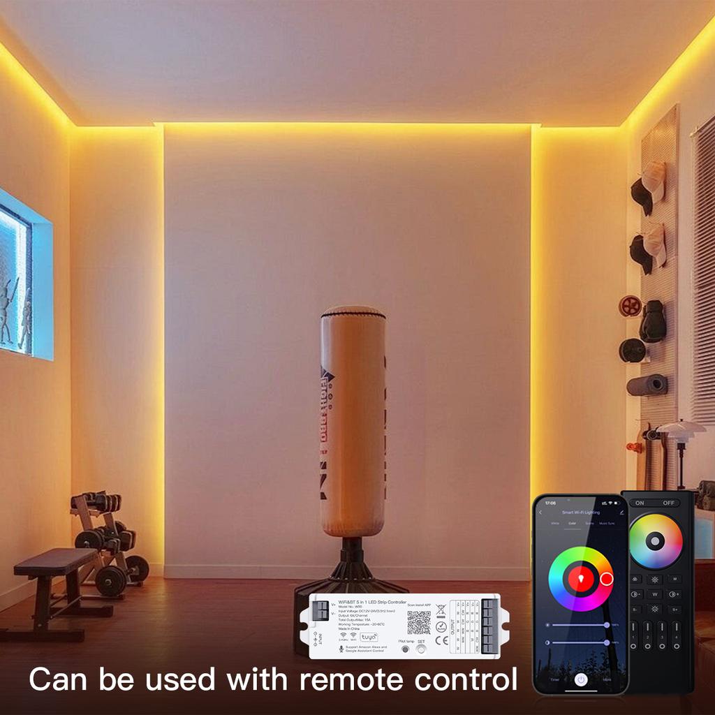 DC12V-24V WiFi 5 in 1 LED RGB Controller Tuya Smart Alexa Google Home Voice Control RGBCCT RGBW CCT Single Color LED Strip Light