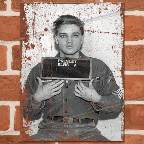 

ELVIS (Mugshot) Music Metal Signs Mancave Shed Garage Vintage Retro Tin Sign UKAluminum 20x30cm（7.8x11.8inch）