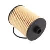 Zhanchedaren Oil Filter for VW Touareg