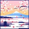 Hamabunyo Picture Cloth (Furoshiki 50cm) Sea Clouds Fuji Cherry Blossoms