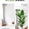 High-End Indoor Bird of Paradise Decor: Luxury Potted Traveler's Palm