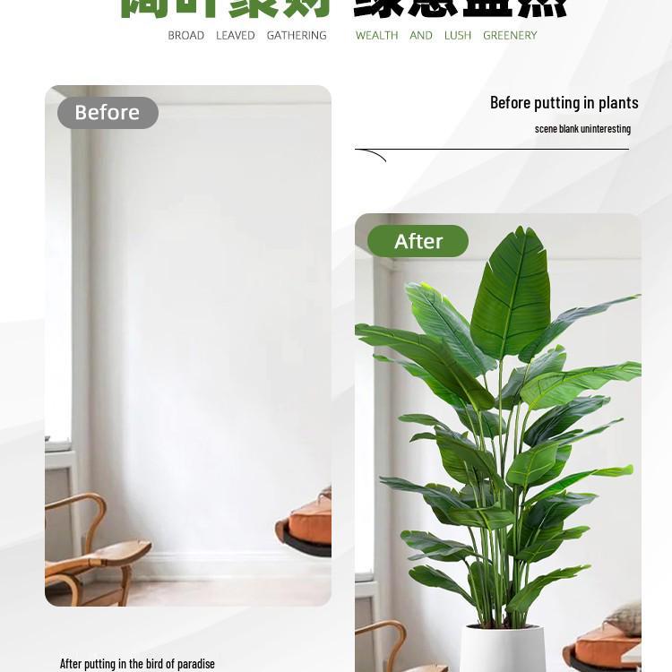 High-End Indoor Bird of Paradise Decor: Luxury Potted Traveler's Palm