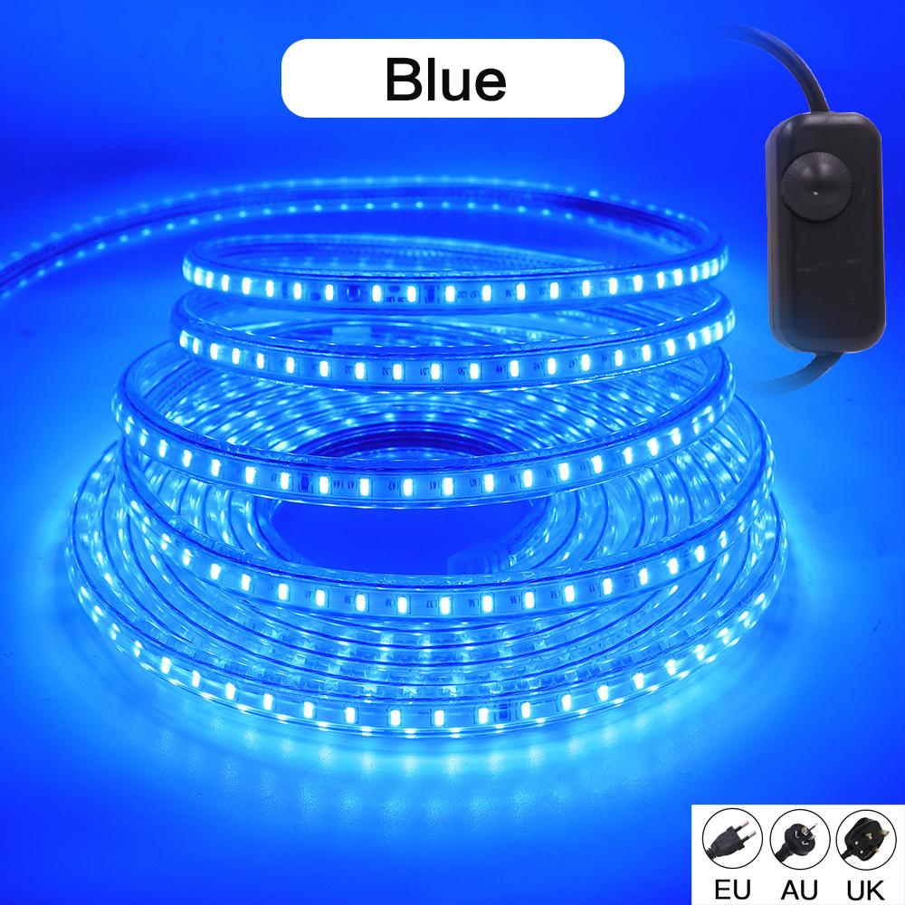 220V LED Strip With Dimmer EU/UK/AU Plug Warm White Blue High Bright 120LEDs/M Waterproof 3104 Ribbon LED Light Home Bar Decor