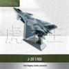 J-20 Fighter Jet Alloy Model