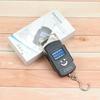50kg Digital Hook Scale Precisions Weighing Tool Digital Scale Portables Hanging Scale Fishing Equipment