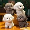 Cute Dog Plush Doll 20/30cm Realistic Soft Fluffy Stuffed Puppy with Playful Tongue Travel Companion Gift for Boys Girls