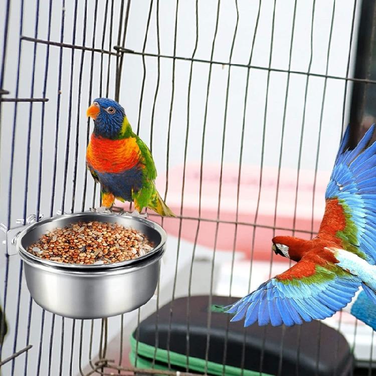 Bird Feeding Dish Screw On Cupshanging Stainless Steel Parrot Cage Feeder