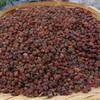 Schisandra Berry Herbal Tea 250g Energy Tonic for Men Women