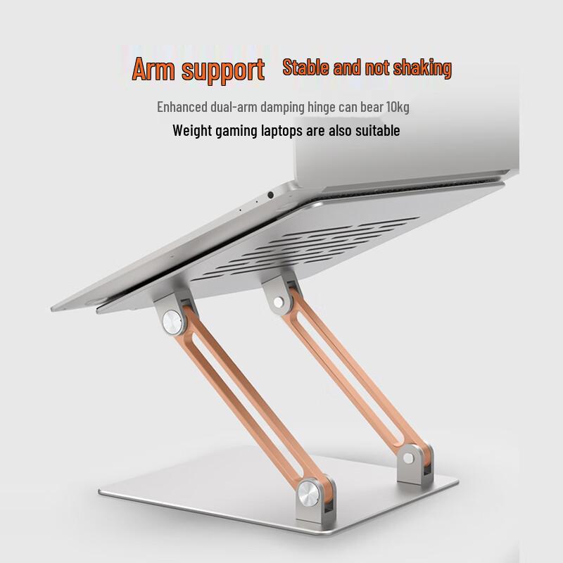 IKELAI Aluminum Laptop Dual Arm Desk Clamp Stand