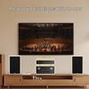 Shanshui M620 HIFI Bluetooth Tube Amplifier System
