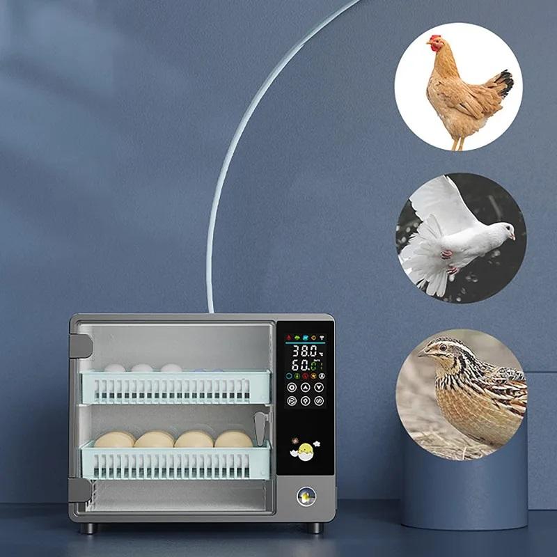 Incubatrice per uova completamente automatica, controllo della temperatura tipo touch, incubatrice da fattoria, adatta per polli, anatre, oche, pollame e incubatrici